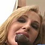 Interracial pornstar blowjob fun