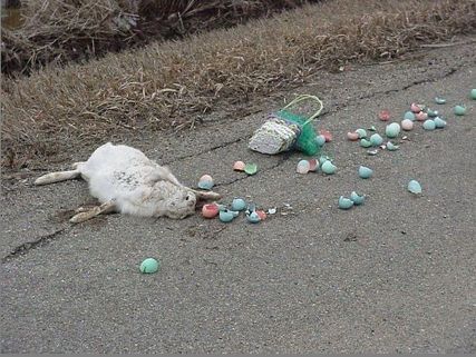 Easter Bunny didn't look both ways