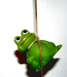 Hanging Frog